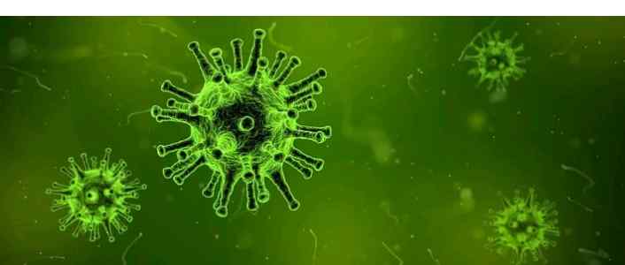 Corona Virus