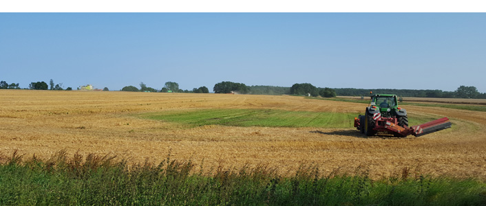 Milchkrise
