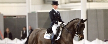 Dressur Grand Prix